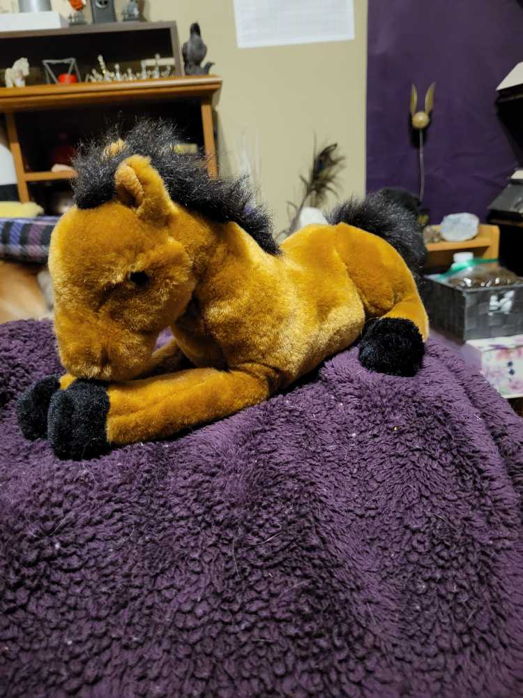 Puppy in a playhouse