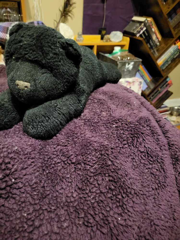 The Mandalorian Online Exclusive Bundle