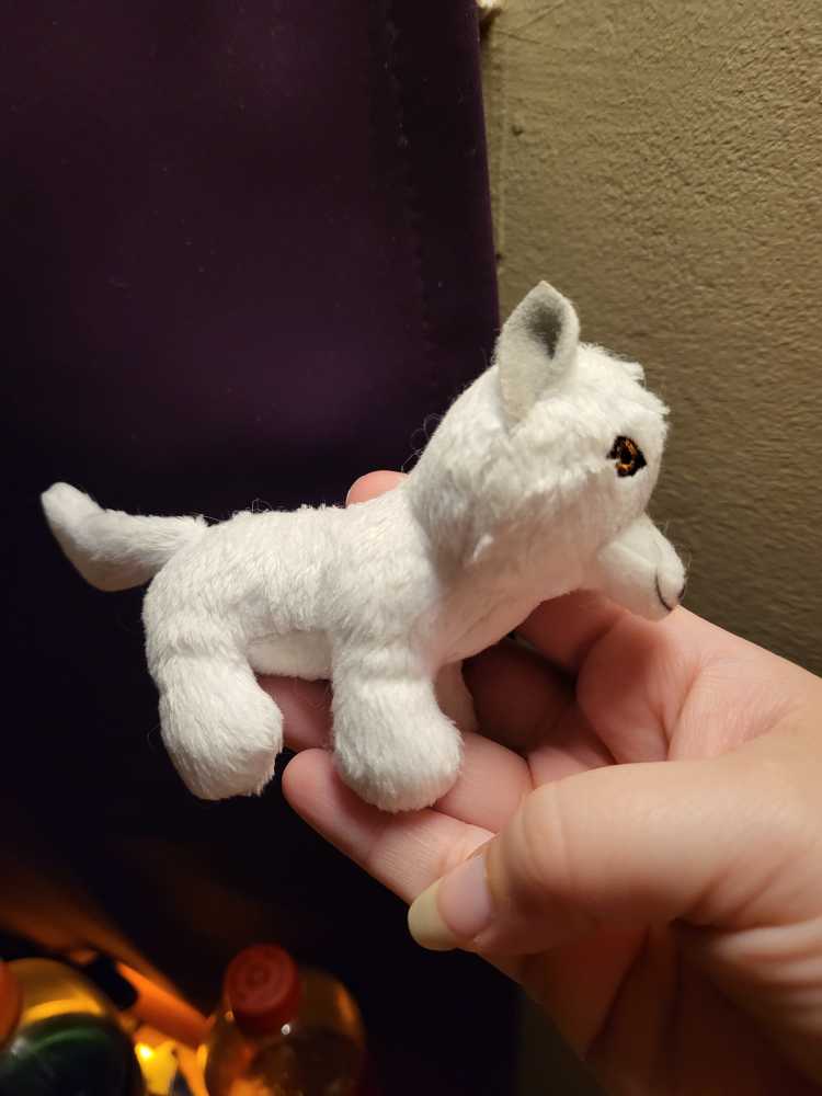 World Wildlife Fund Adopt A Whale Plush