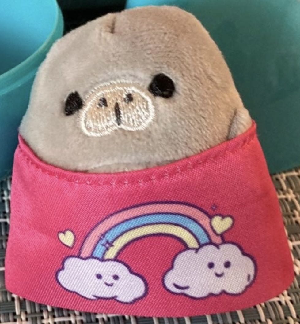 Factory Entertainment Game Of Thrones Dire Wolf Cub 9”