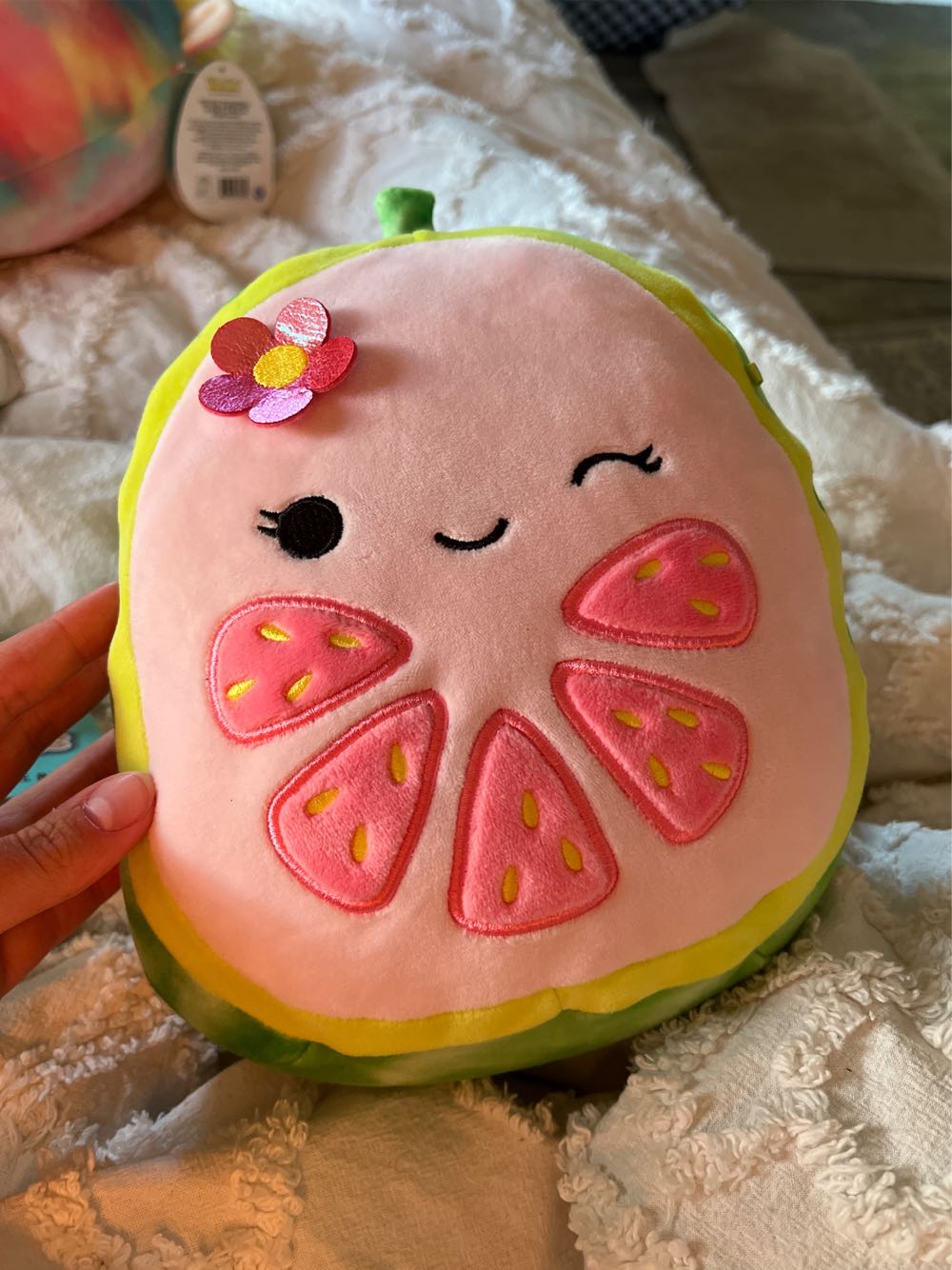 Blizzard Gryphon Hatchling