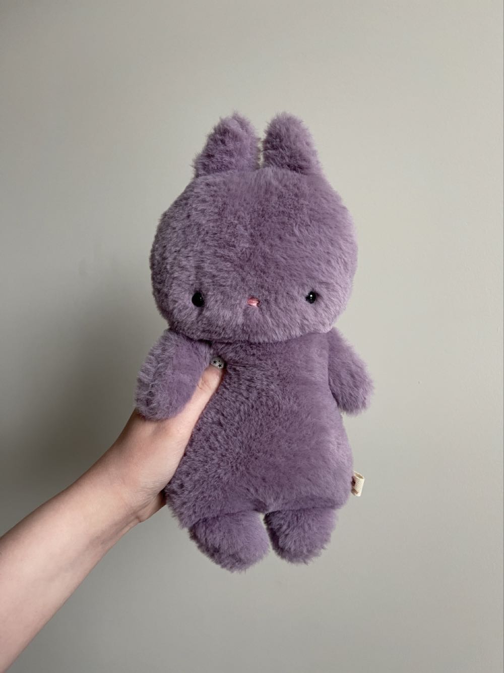 Caeli The 5” Cat Squishmallow