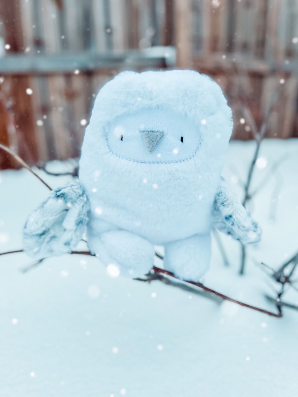 Pillow Paul’s Siberian husky