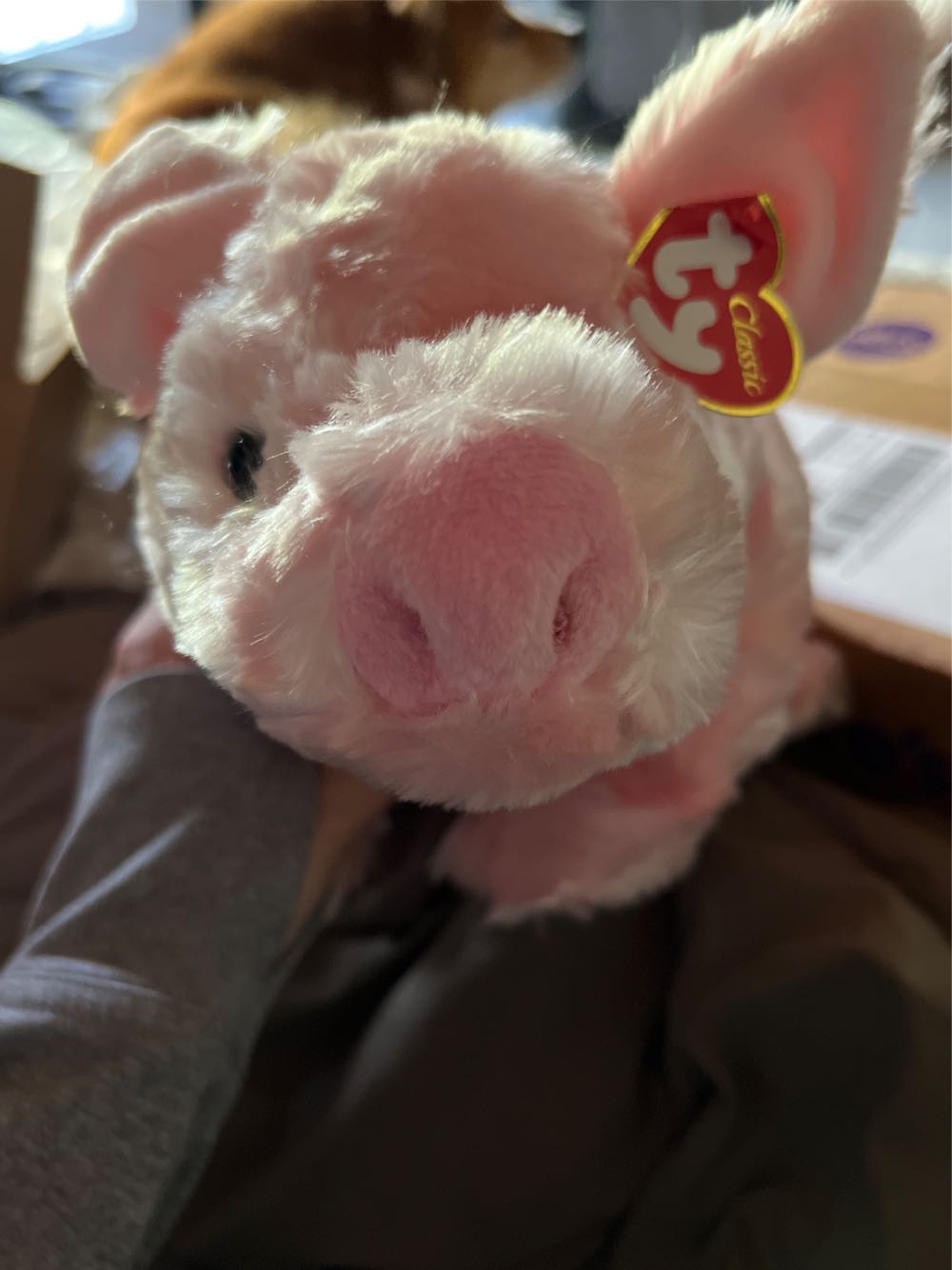 Omelet The Pig (Classic Buddy)  plush collectible [Barcode 008421080144] - Main Image 1