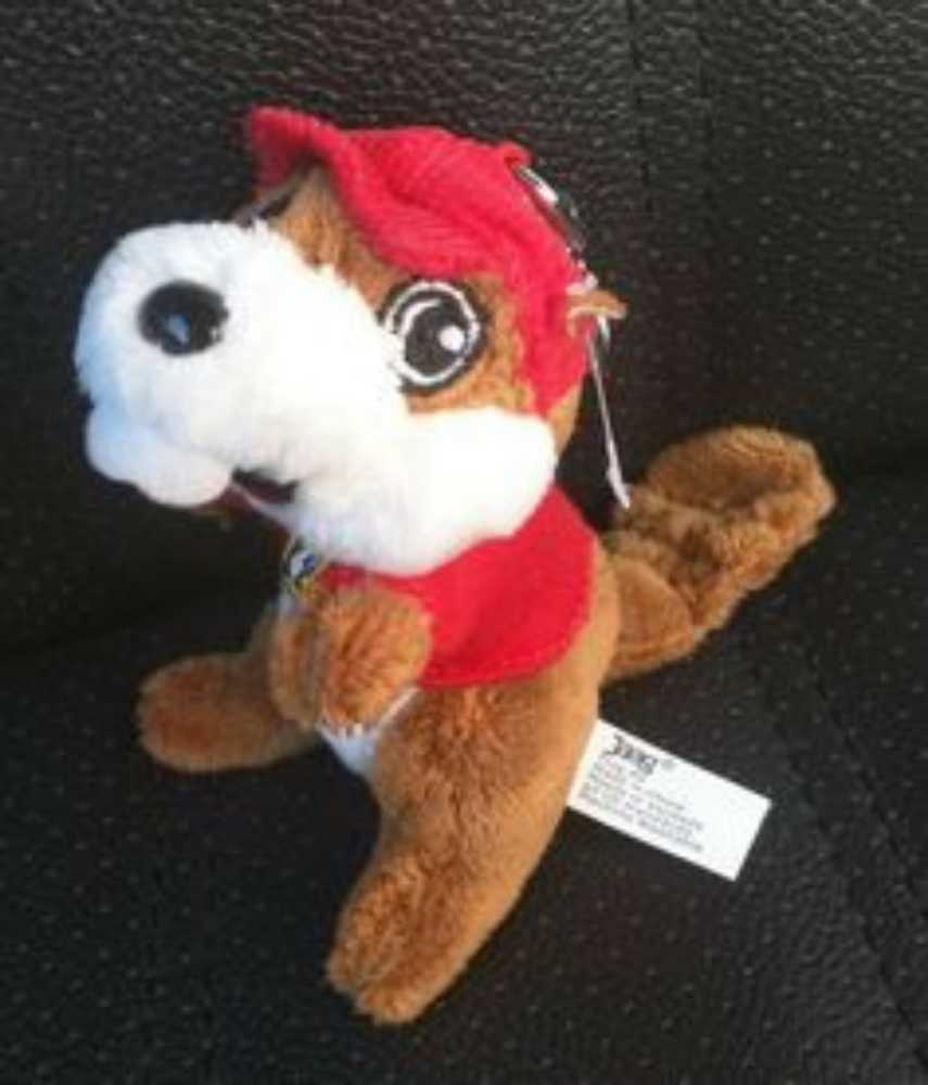 Zebra Bashful Medium