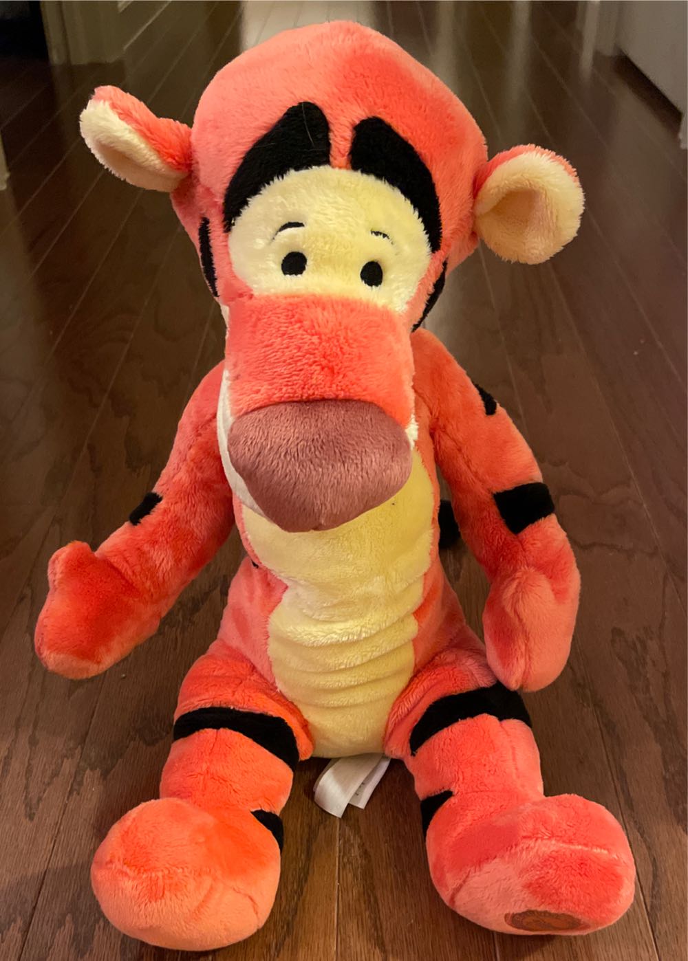 Black Friday Edition Band 5