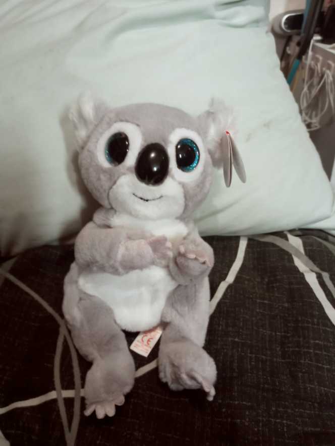 Melly the Koala  plush collectible [Barcode 008421407262] - Main Image 2
