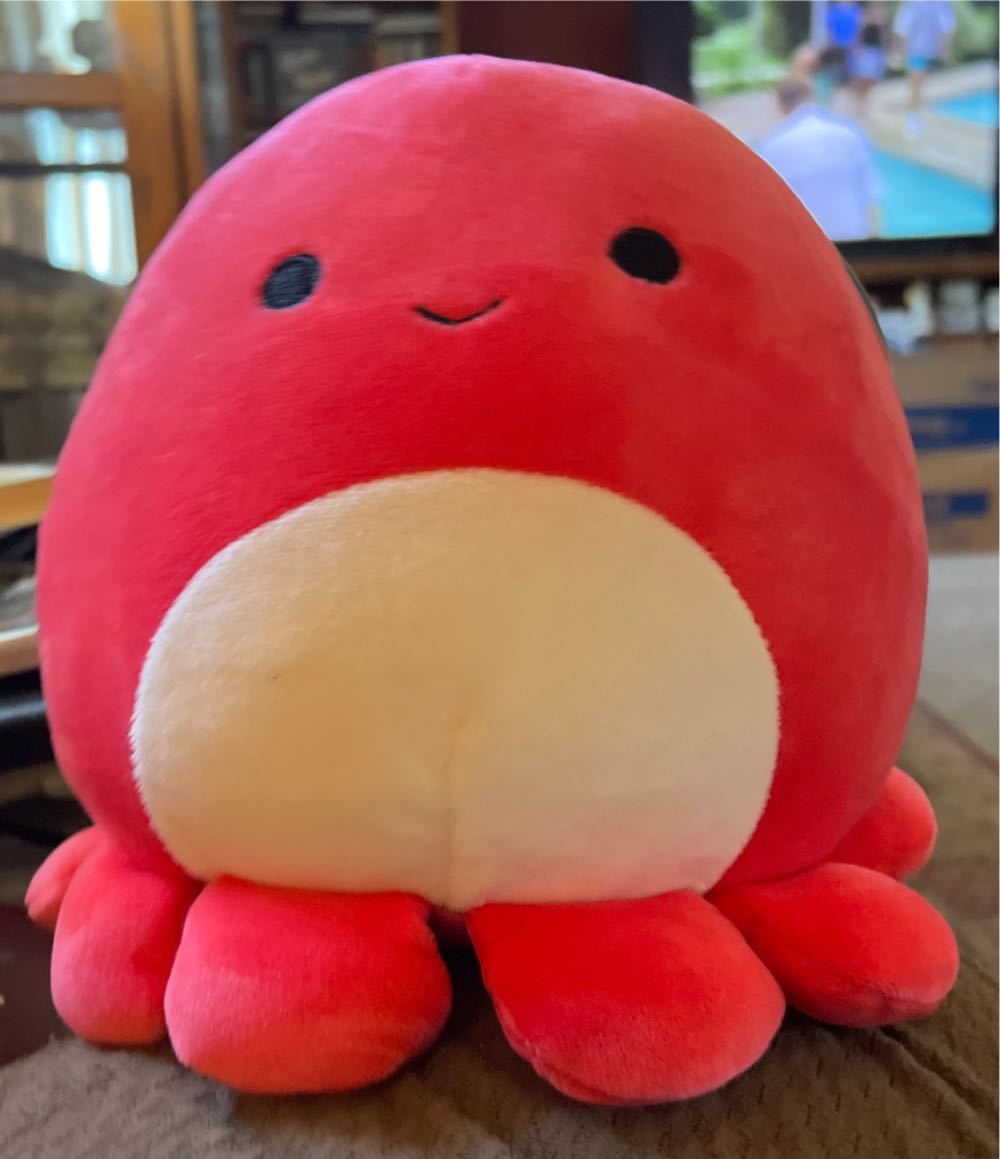 Hedgehog Nippit Small