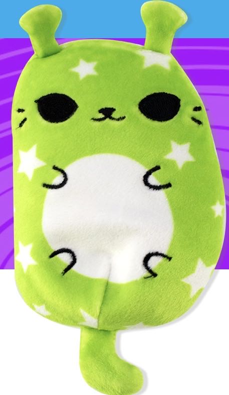 Bella the Black Spider