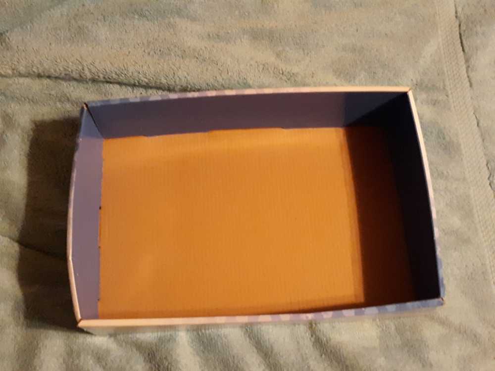 Pokemon Plush Display Box Tomy 2017  (United States) plush collectible - Main Image 2