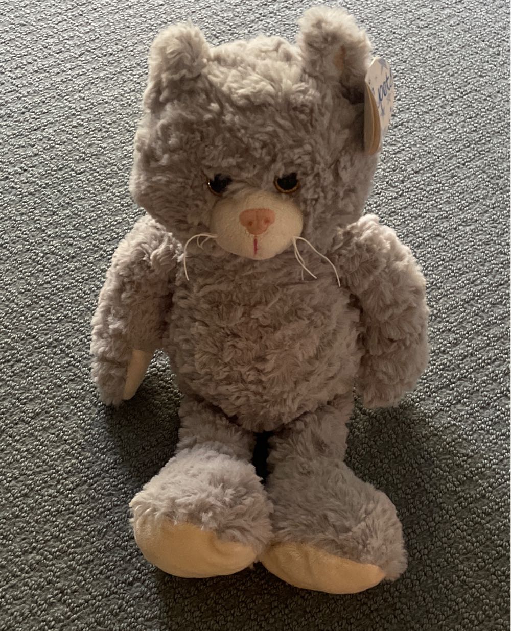 Plush Cat  plush collectible [Barcode 637351730999] - Main Image 2