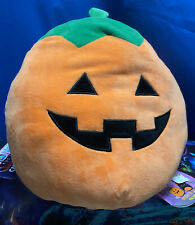 Small brown sitting dog