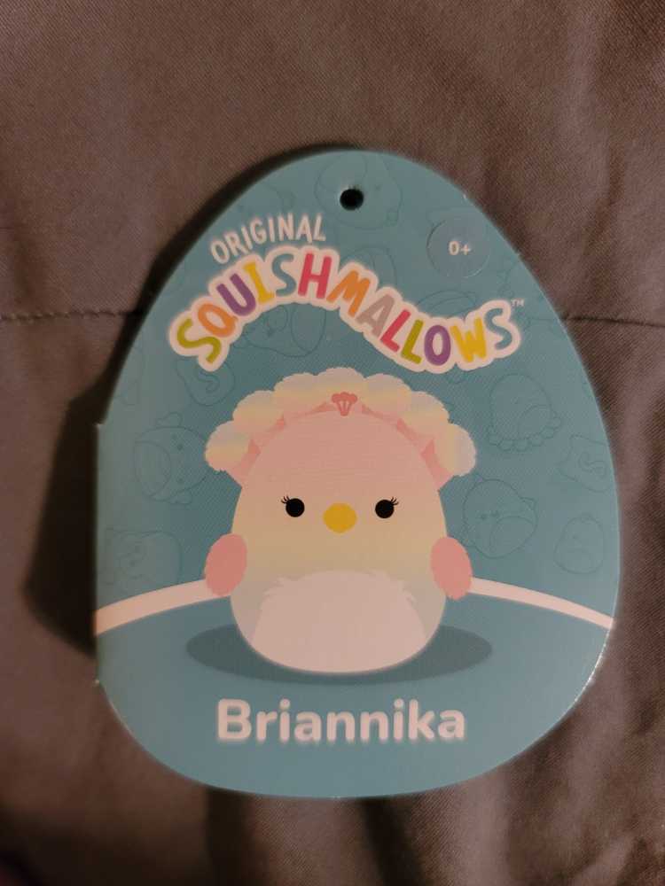 Sea World Dolphin With Noise