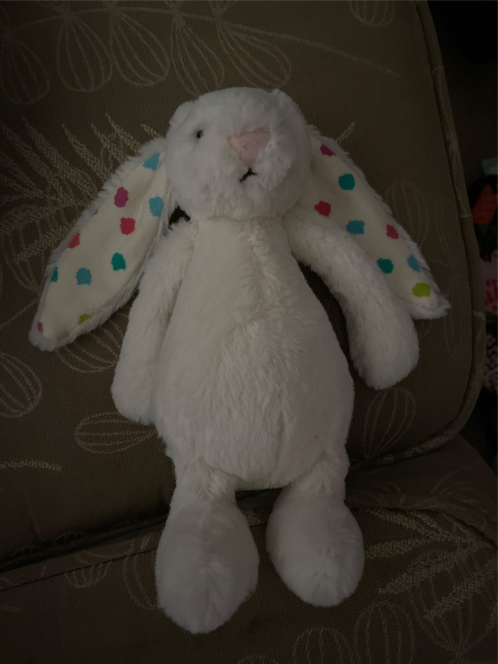 John Casey Shannon the honey badger