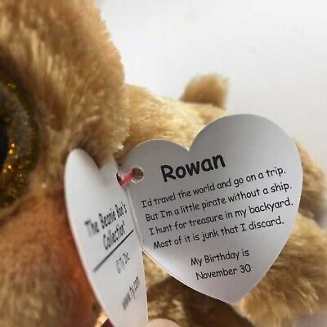 Rowan The Pirate Dog (Boo)  plush collectible [Barcode 008421364923] - Main Image 2