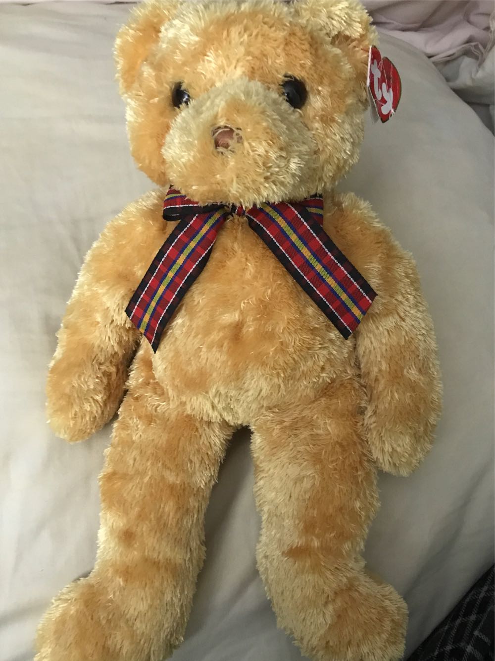 Toymazing Squishy Pals Green Turtle