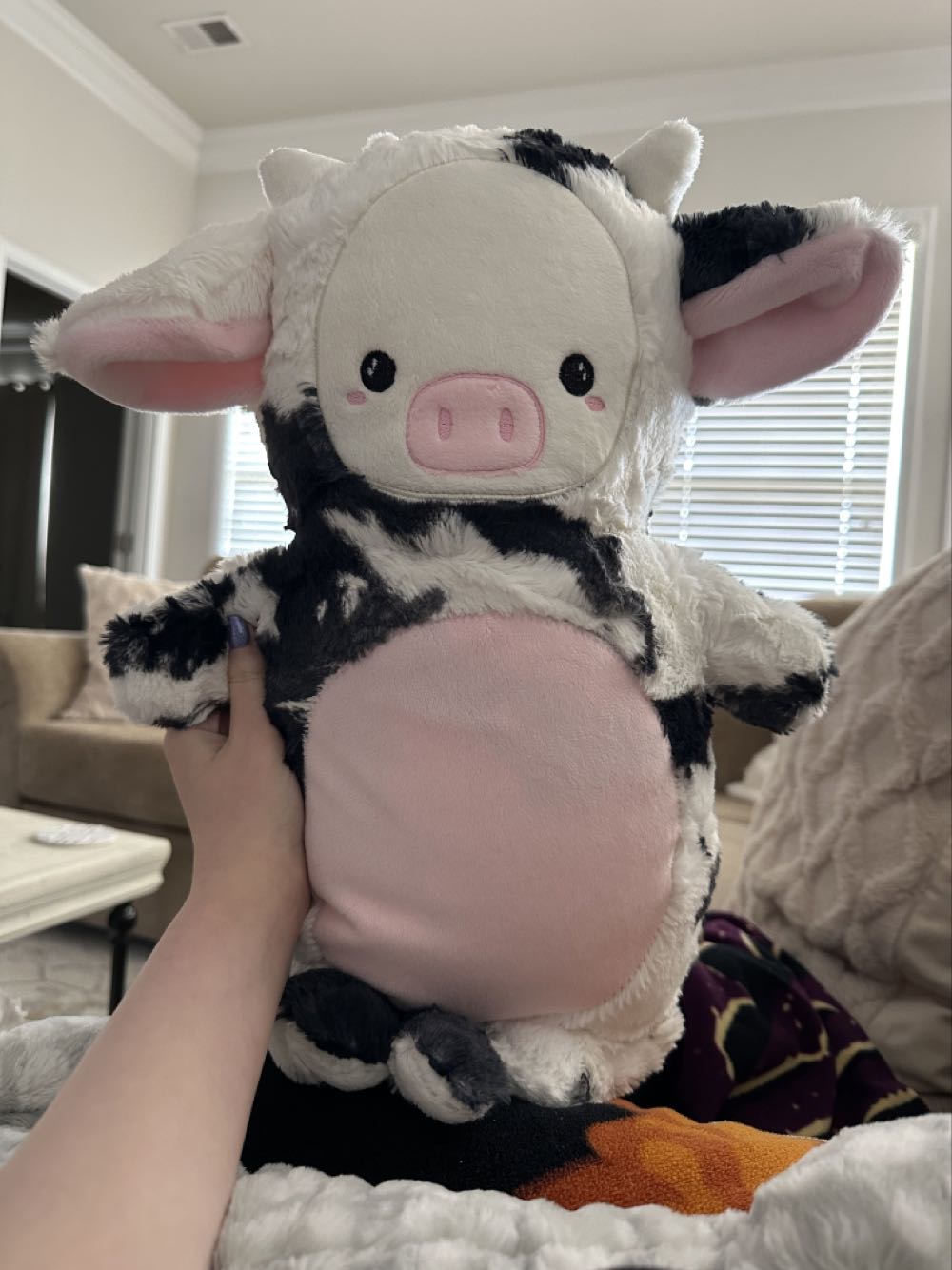 Animal Adventure Orca