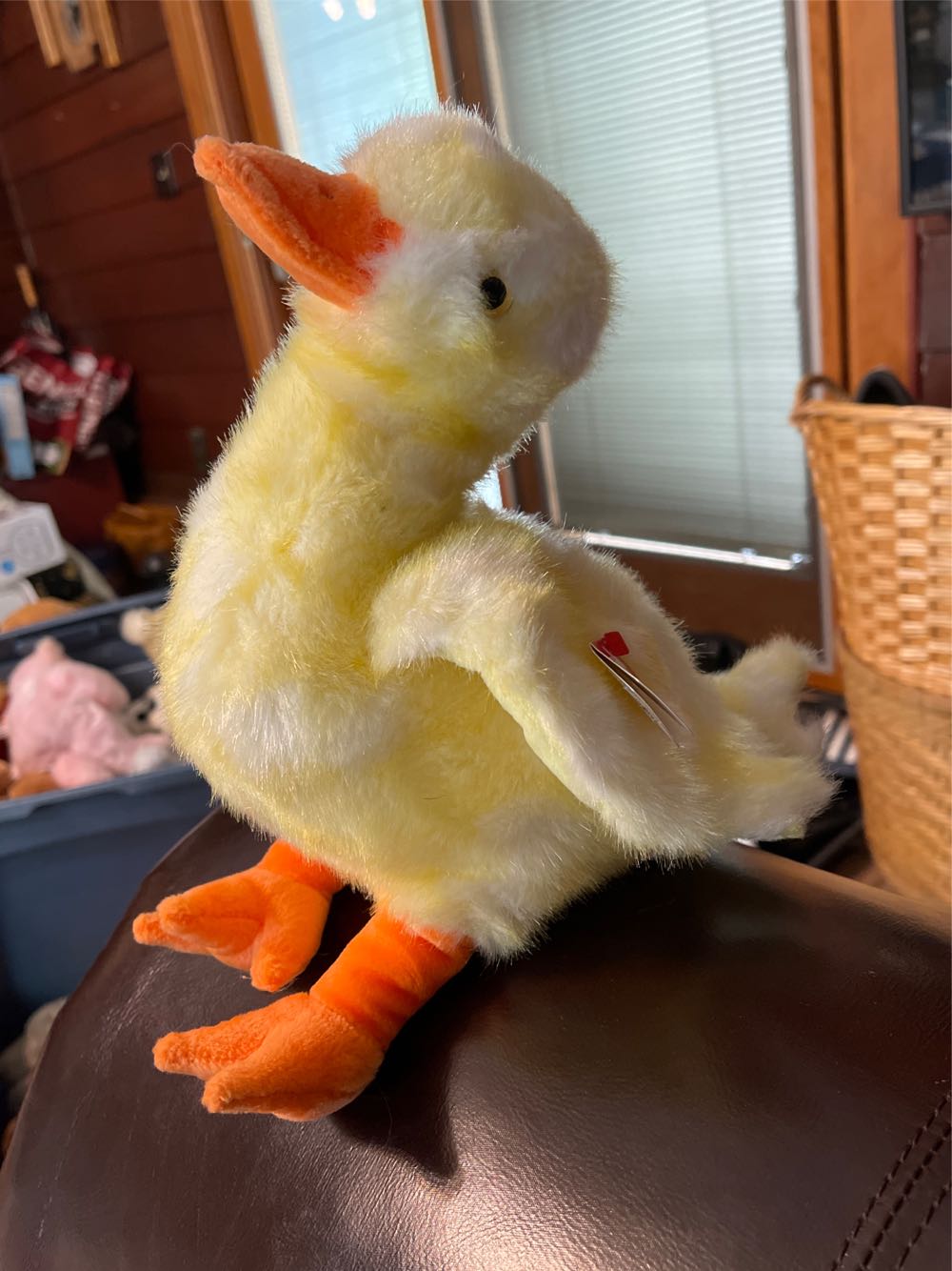 Squishmallow 7.5 Inch Simon Orange