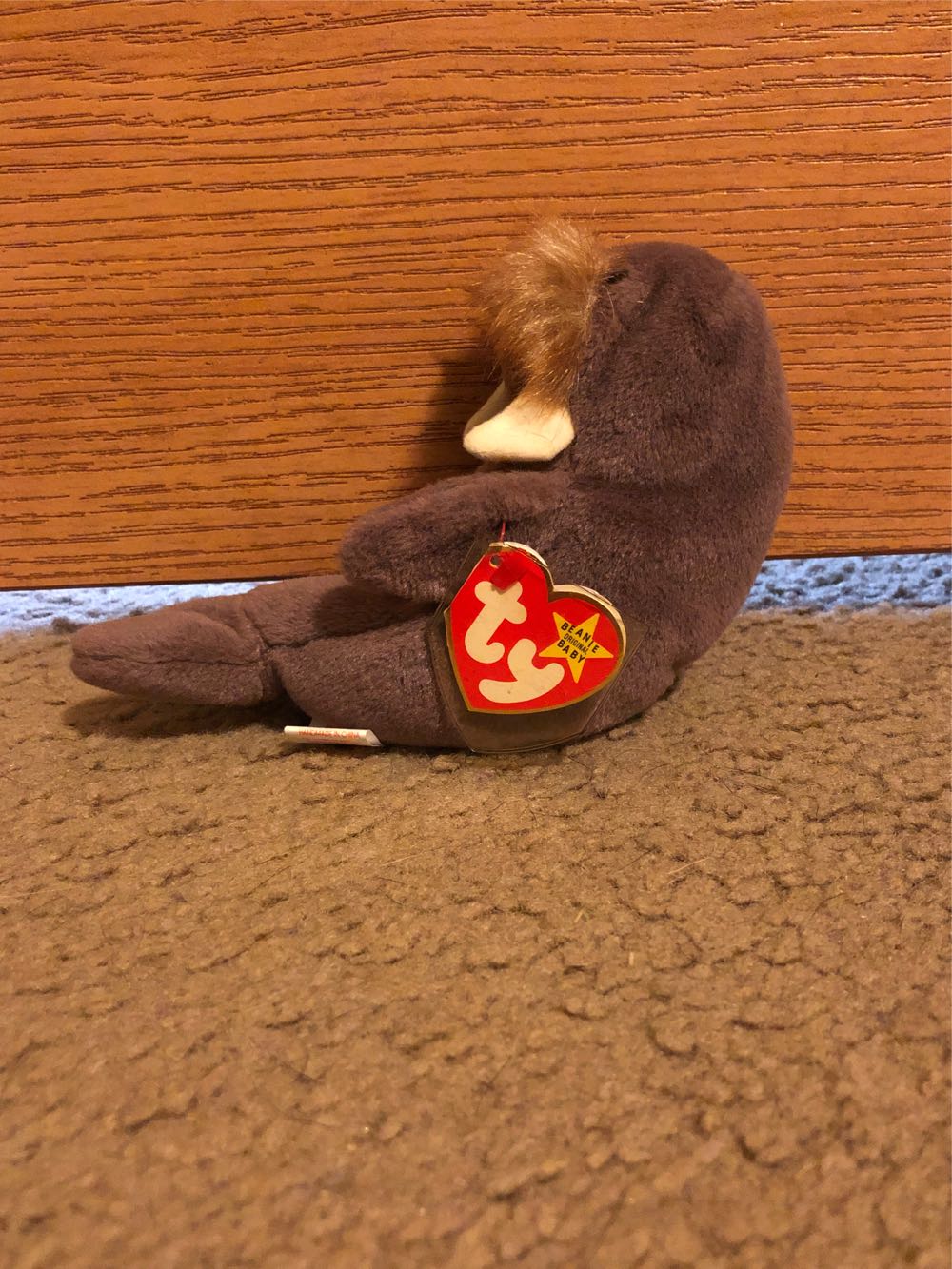 Jolly  plush collectible - Main Image 4