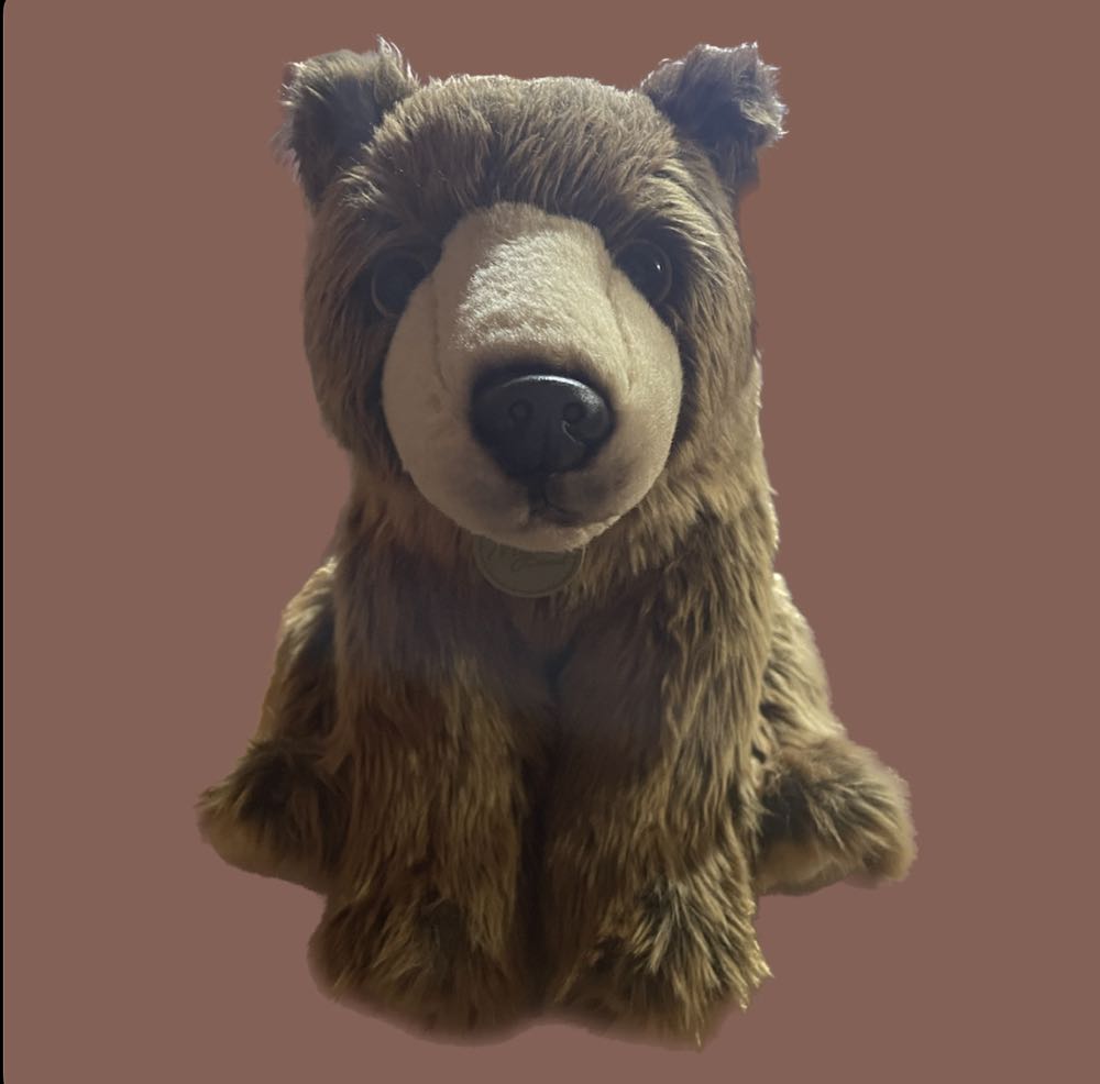 Aurora Miyoni Grizzly 15”  (South Korea) plush collectible - Main Image 3