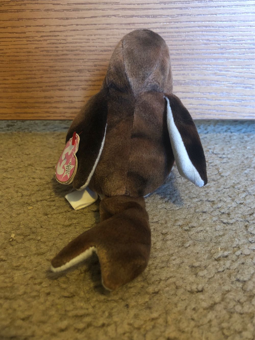 EARLY The Robin  plush collectible - Main Image 3