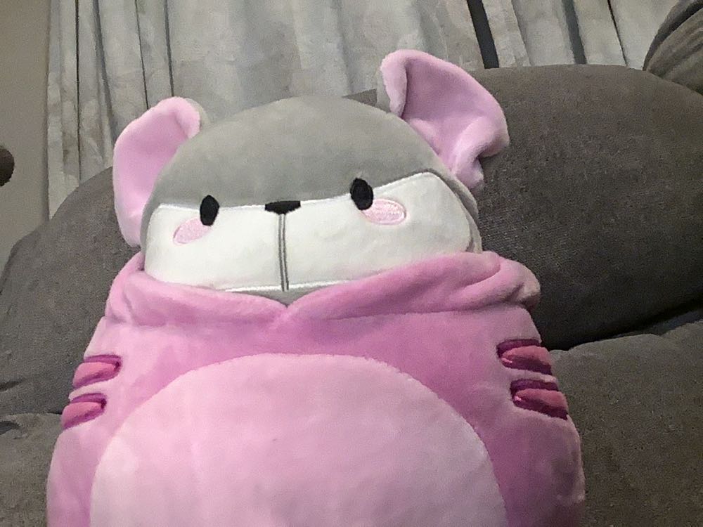Squishmallow 8” Fidalna Mouse With Whiskers In Cat Costume Slumber Party  plush collectible [Barcode 734689489121] - Main Image 2