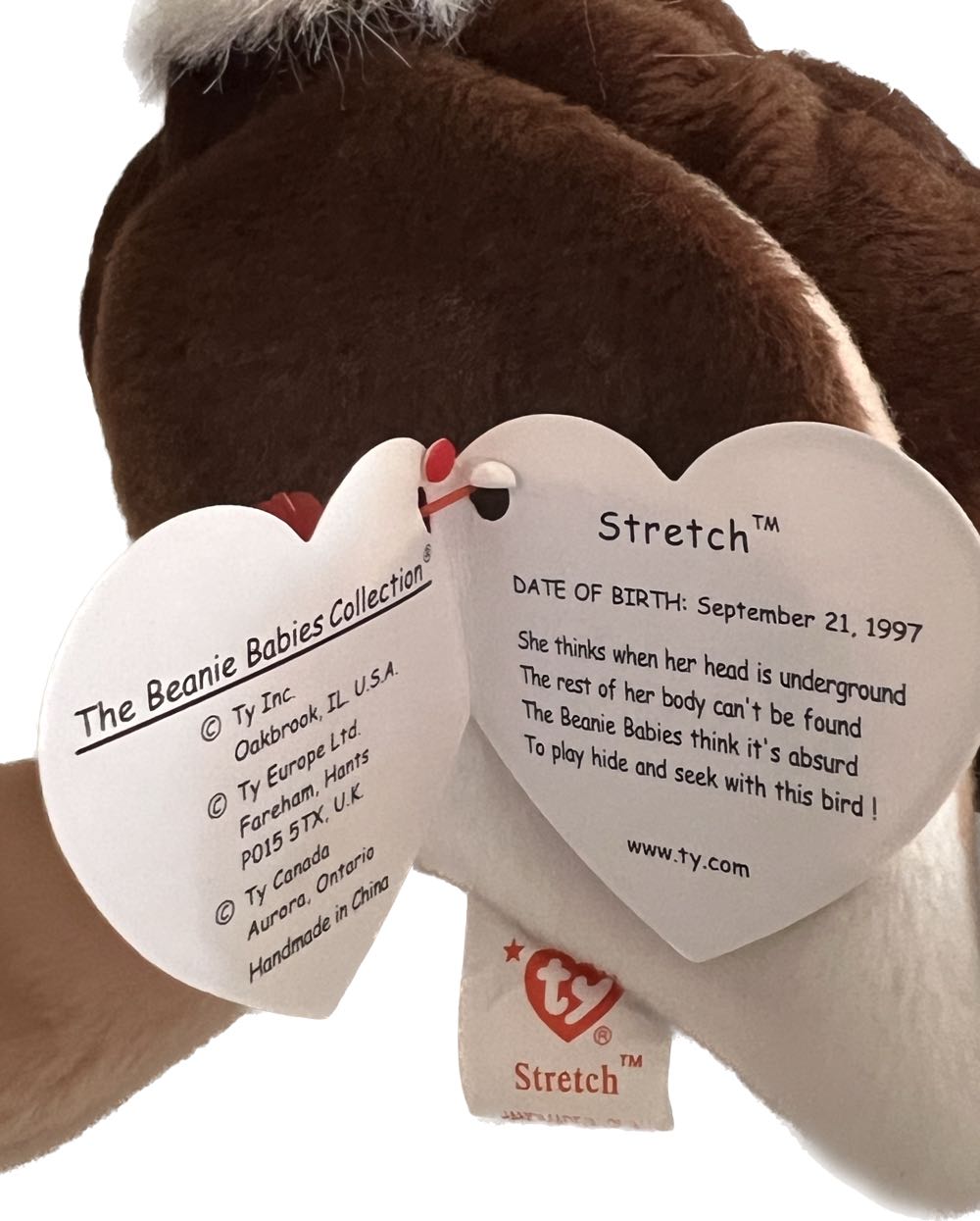 Stretch the Ostrich   (United States) plush collectible [Barcode 008421041824] - Main Image 3