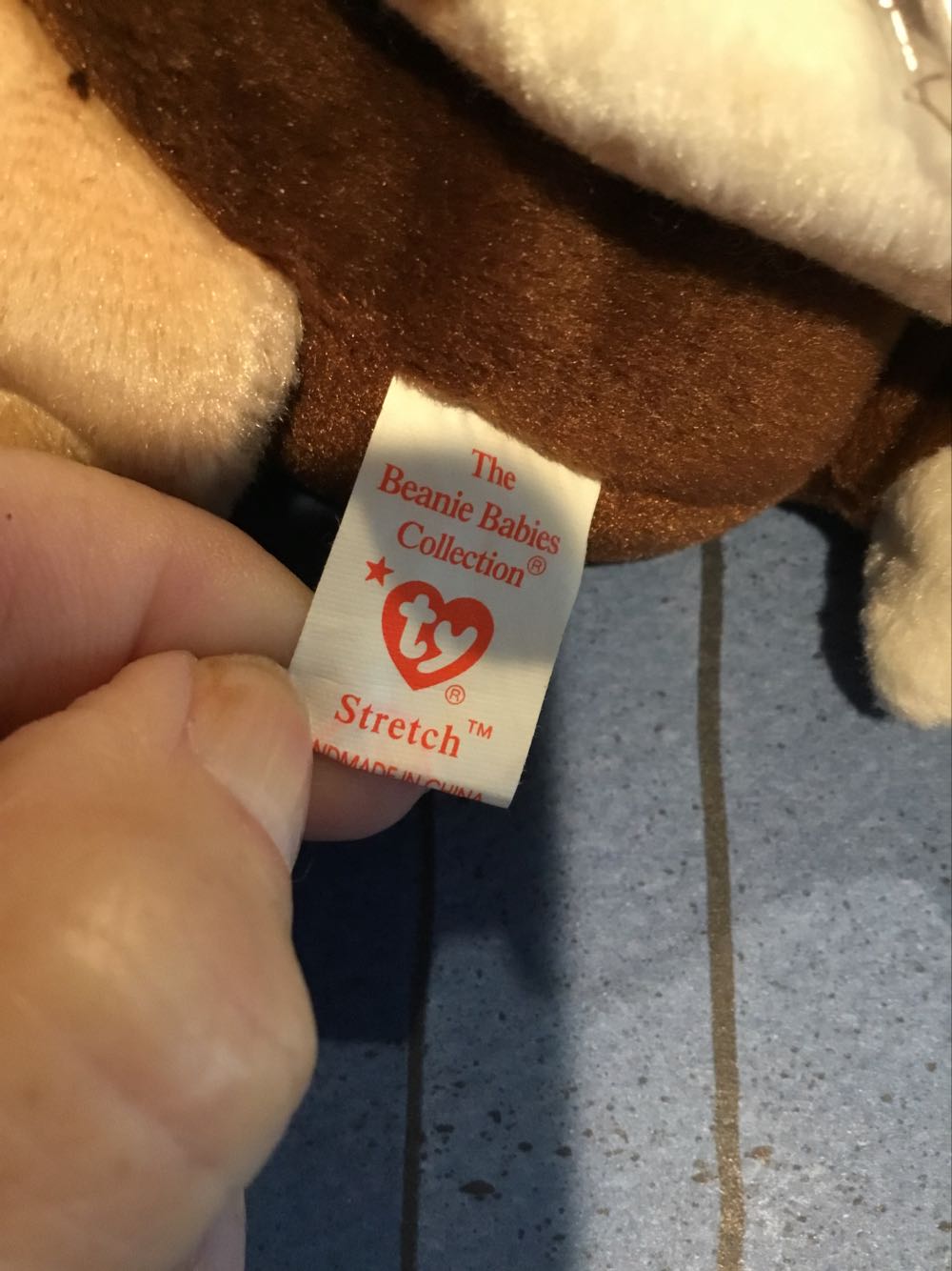 Stretch the Ostrich   (United States) plush collectible [Barcode 008421041824] - Main Image 4