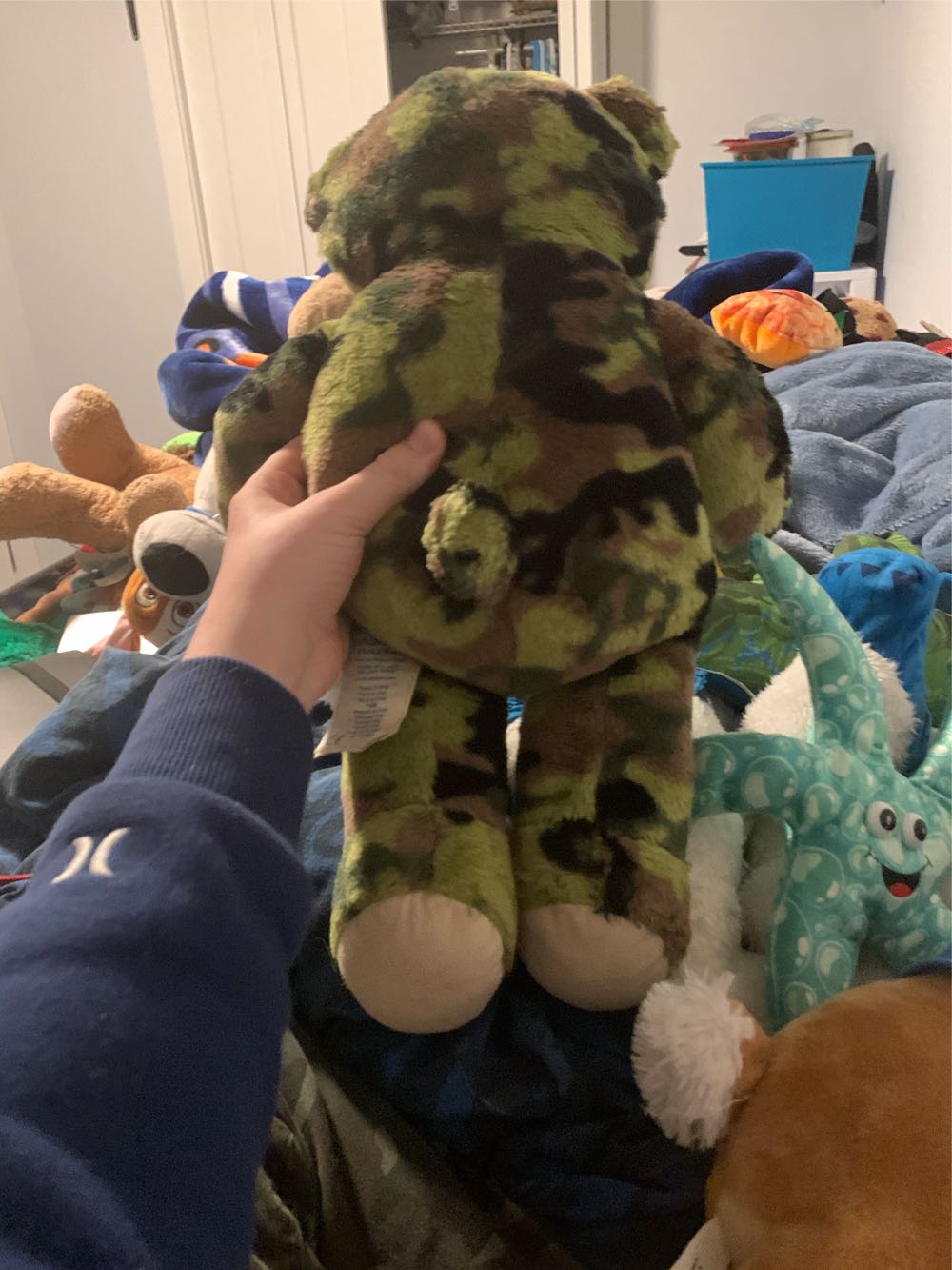 Camo Bear BABW Name Back In The House  (Canada) plush collectible - Main Image 4