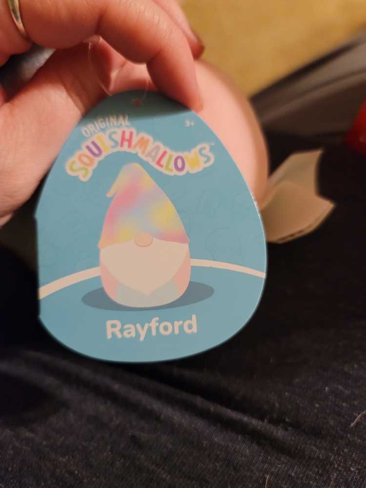 Rayford The Gnome 5” Squishmallow  plush collectible [Barcode 3733009668533] - Main Image 2