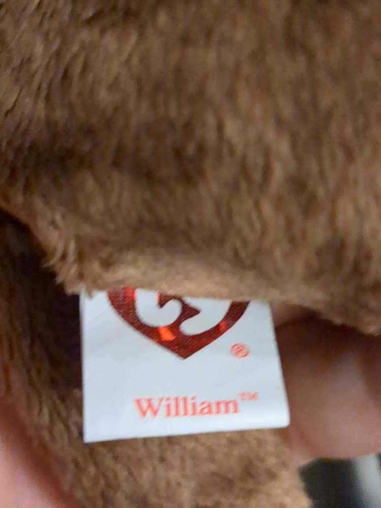 William The Bear - Open Book  plush collectible [Barcode 008421046324] - Main Image 2