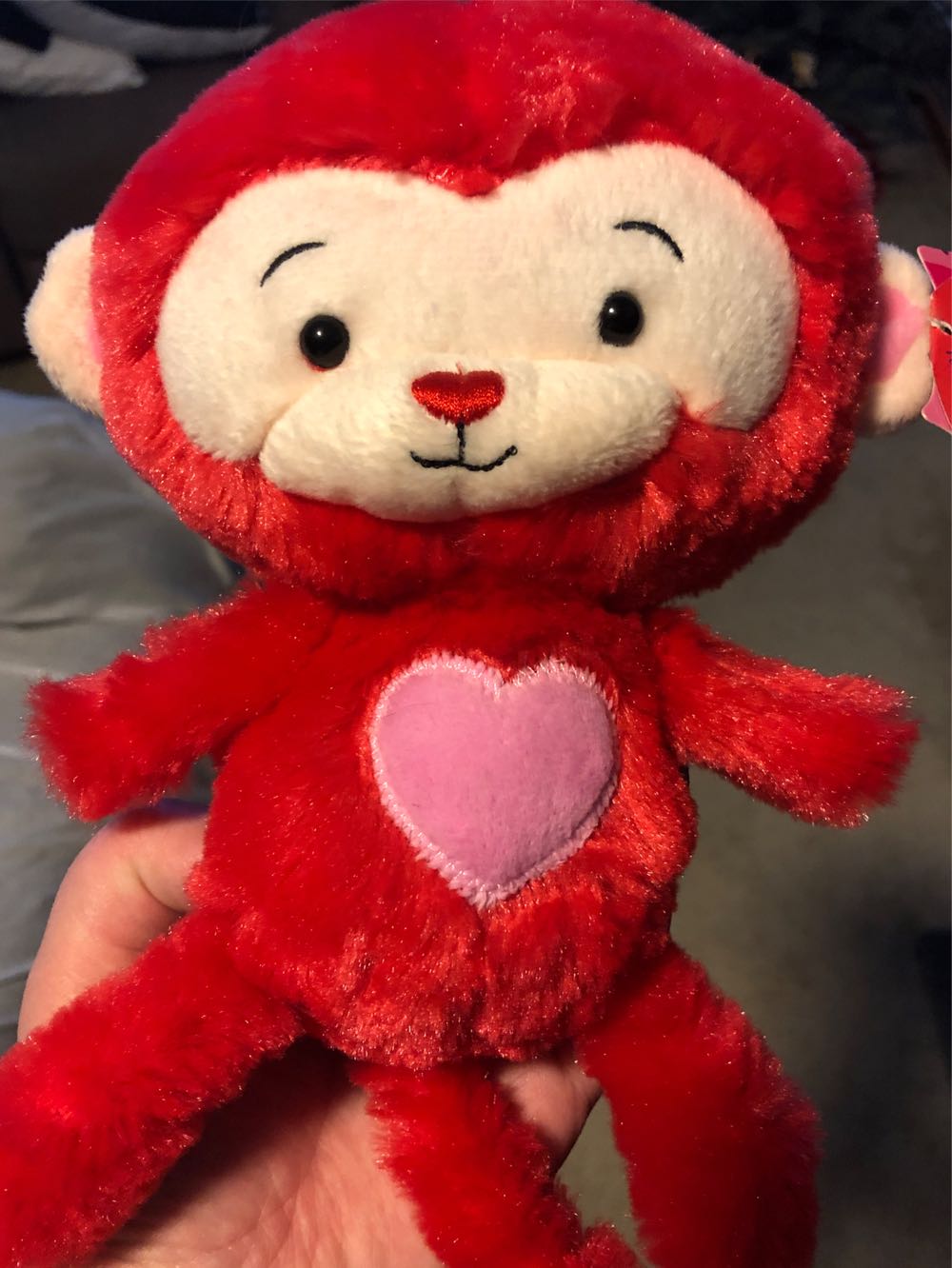 Cat White Bashful Medium