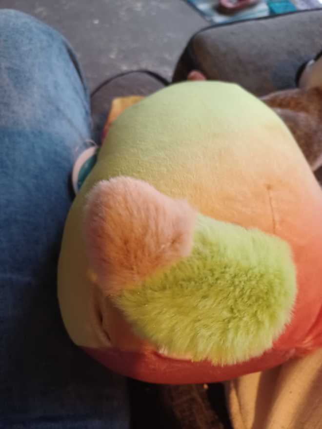 Fifi Apple Costume  plush collectible [Barcode 734689663279] - Main Image 3