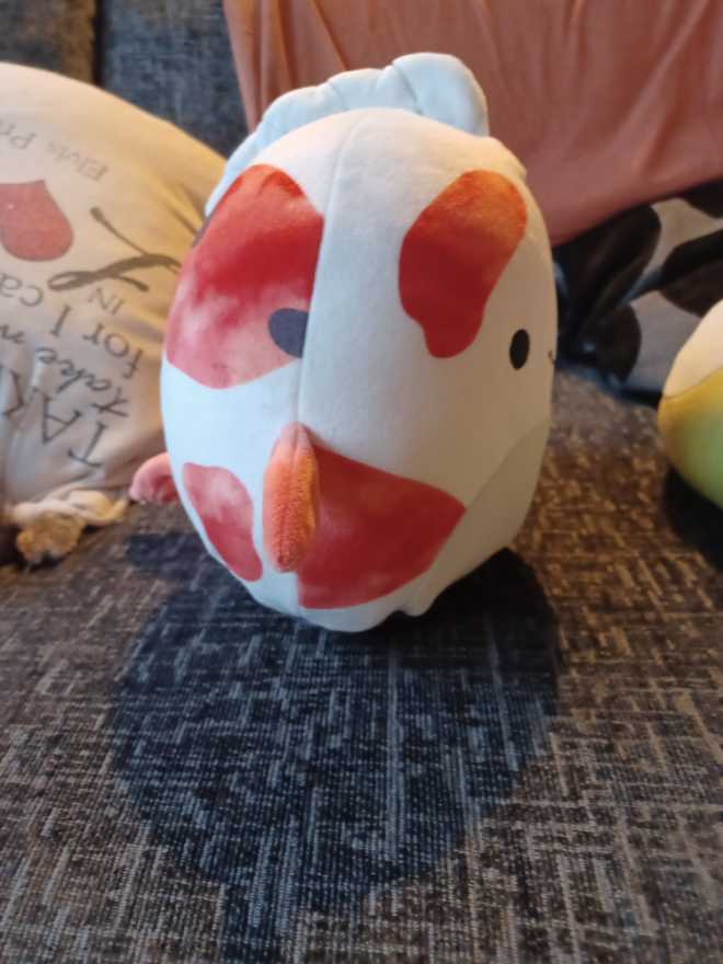 Dandii  plush collectible [Barcode 734689245000] - Main Image 2