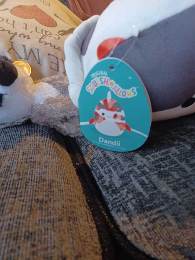 Dandii  plush collectible [Barcode 734689245000] - Main Image 4