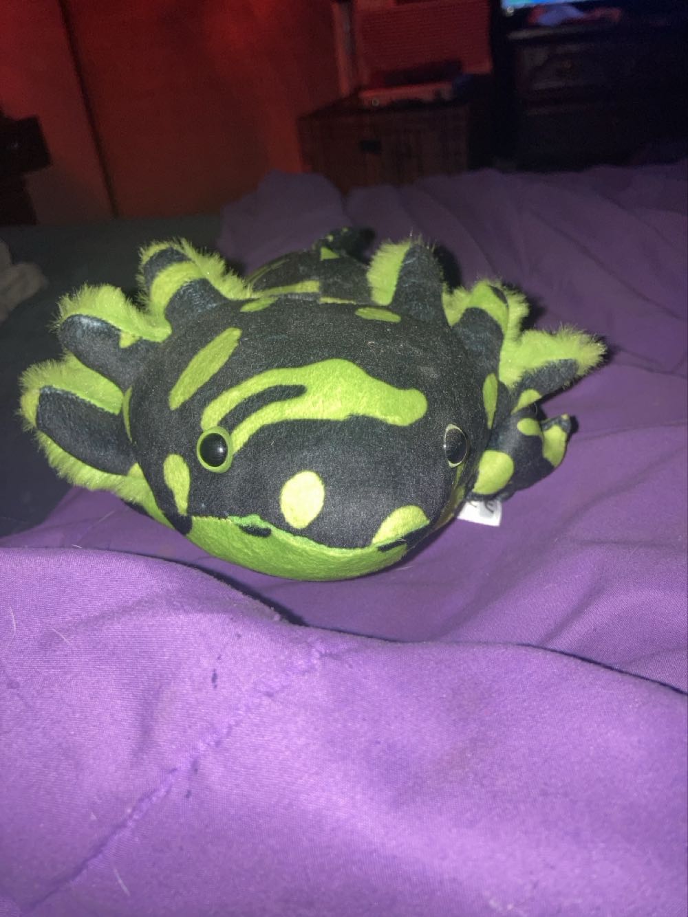 Axolotl  plush collectible [Barcode 810012163309] - Main Image 2