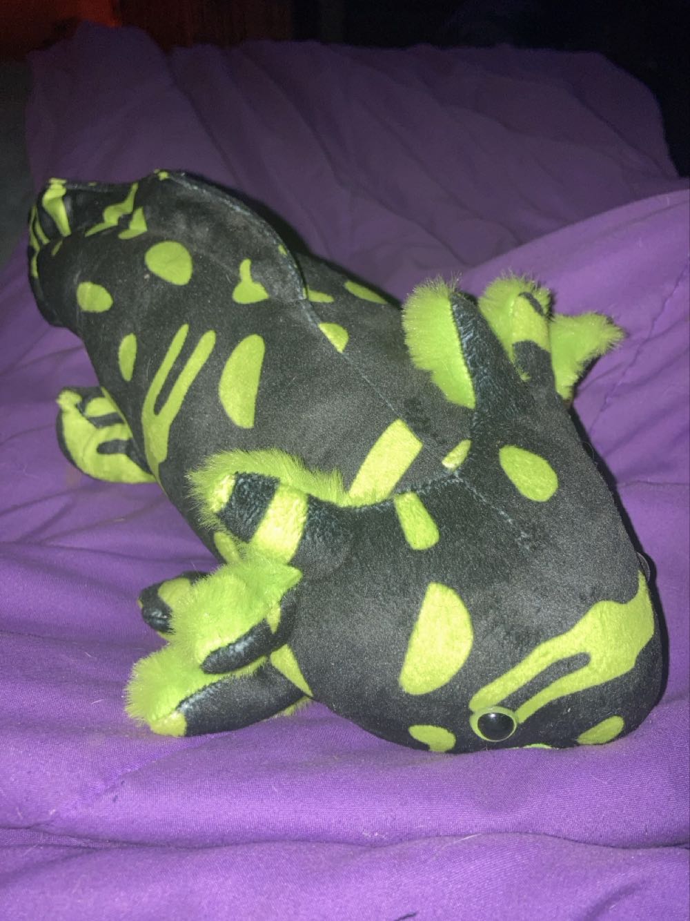 Axolotl  plush collectible [Barcode 810012163309] - Main Image 3