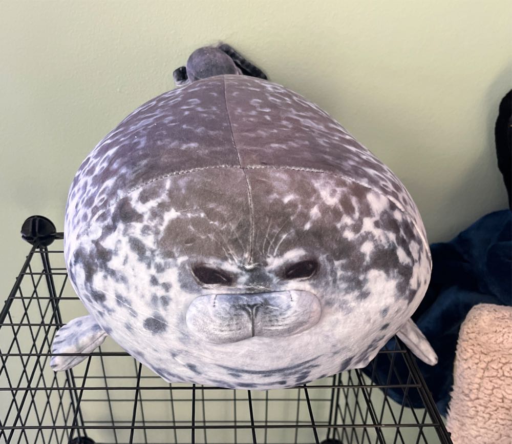 Squirrel Noodle Medium