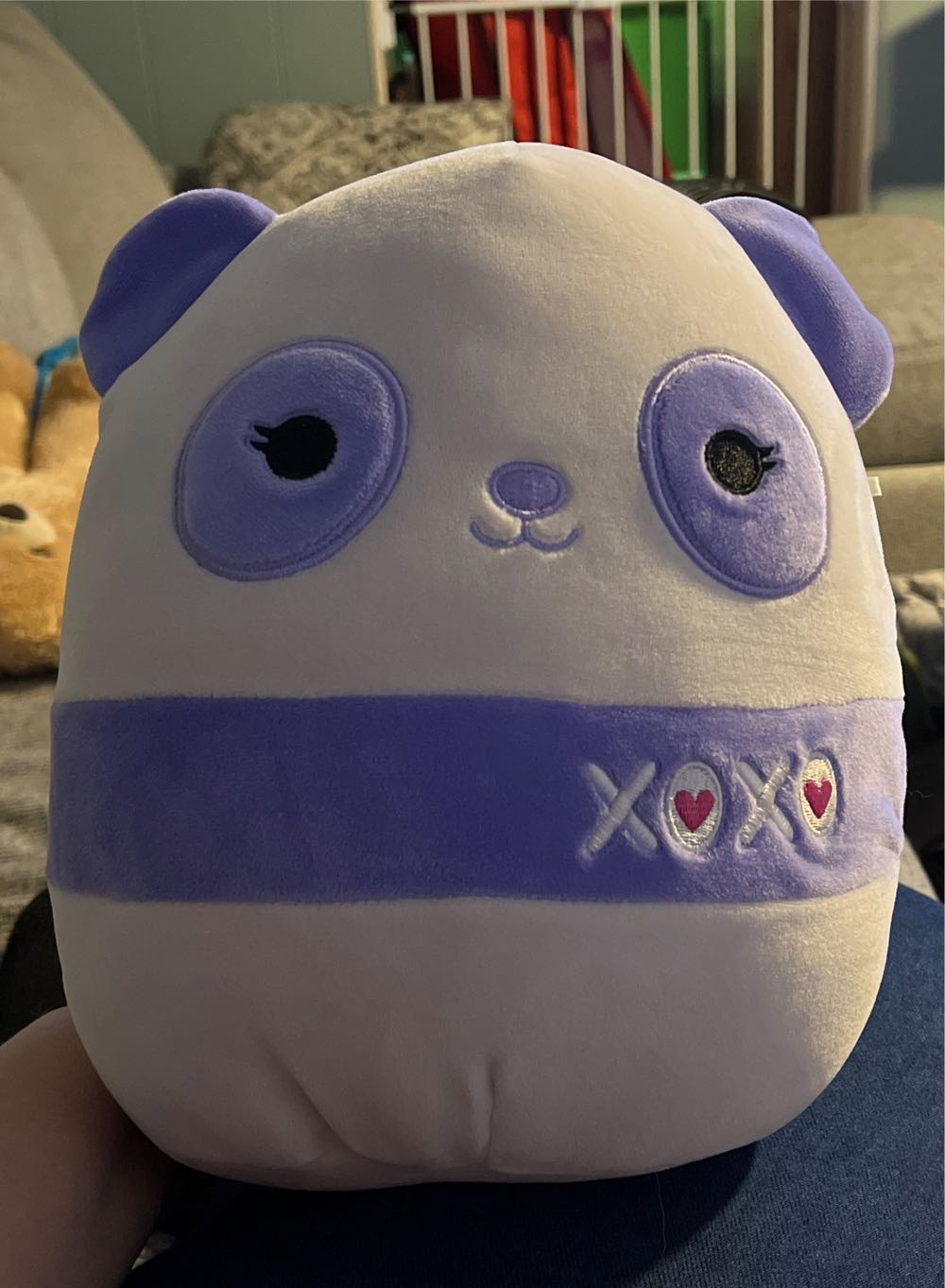 Brown Boston Terrier