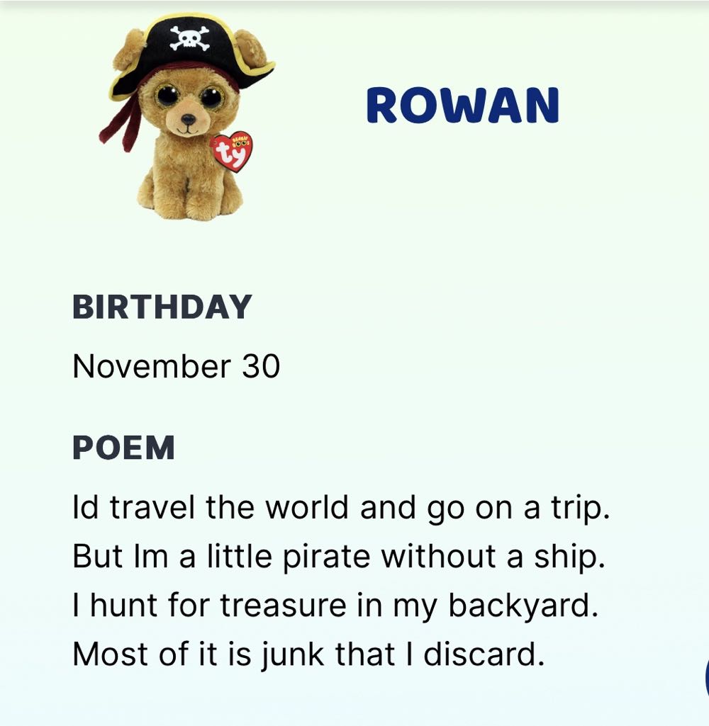 Rowan the Pirate Dog  plush collectible - Main Image 3