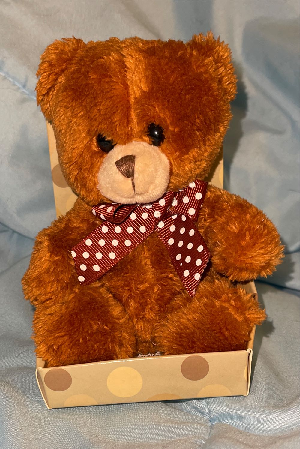 Squishmallows Tito The Toucan Exclusive Valentines 8” Plush Toy Canada New! Htf(e)