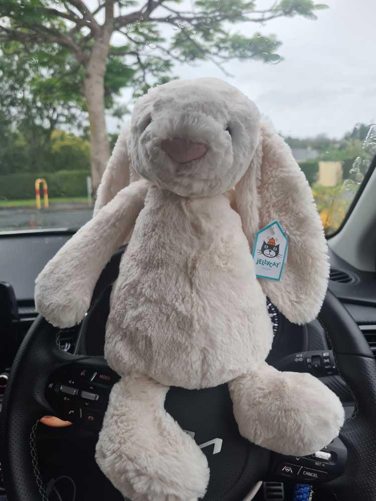 Burger King Pokémon- Oddish