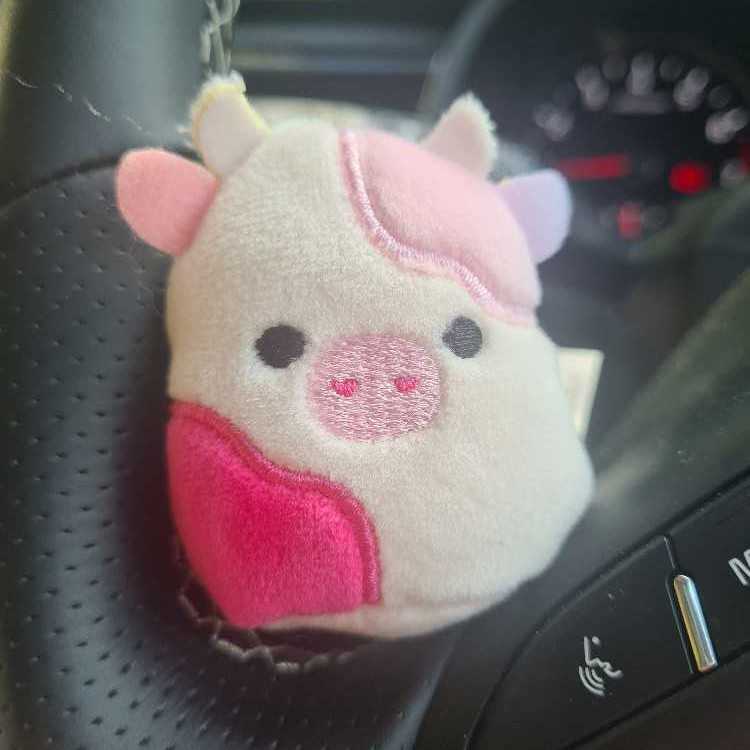 Small California Sea Lion