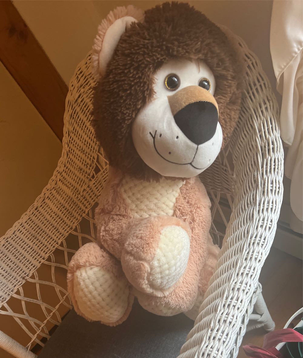 Bashful Pug (M) BNWT