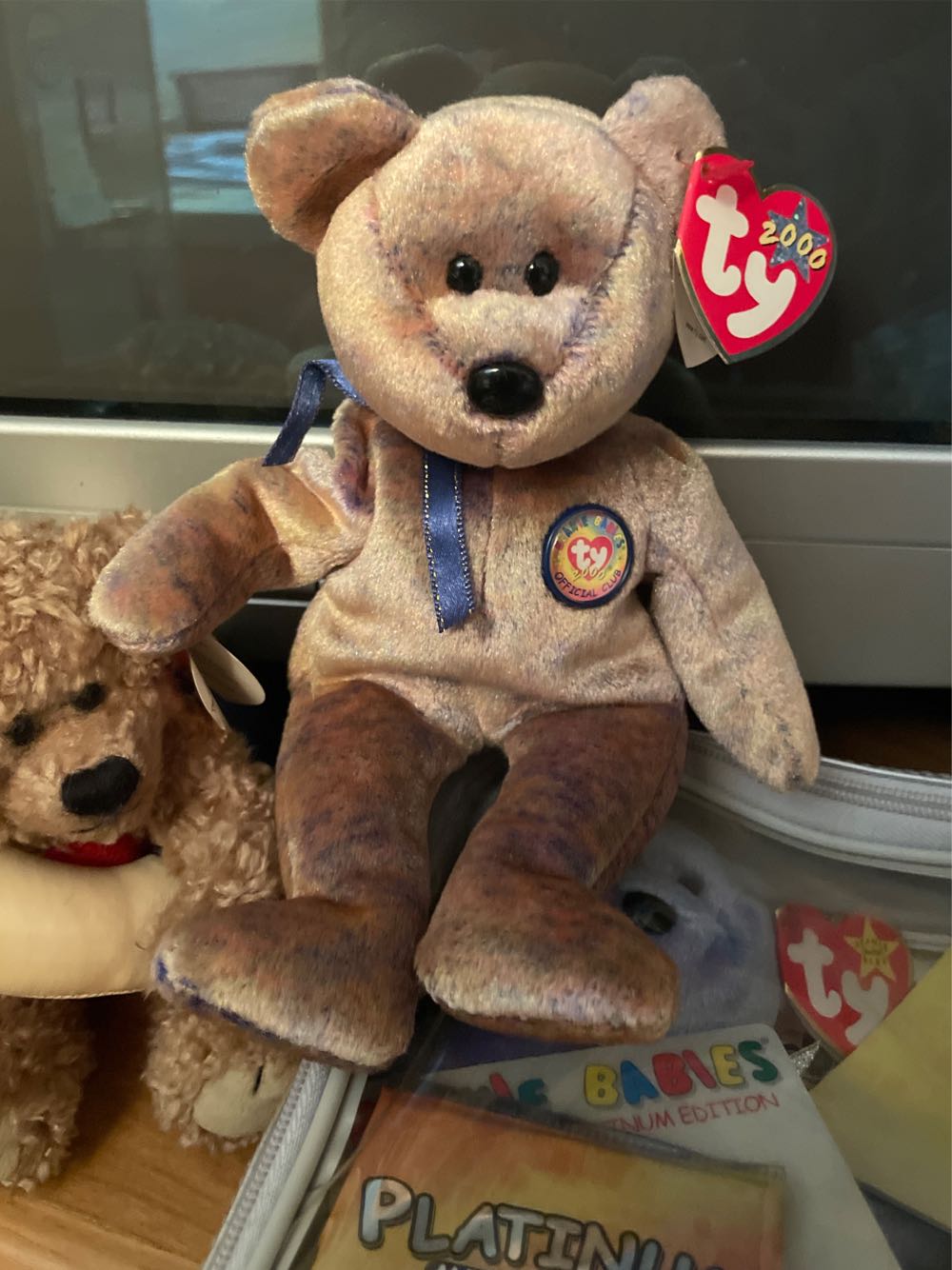 NRMA Careflight: Police Dog