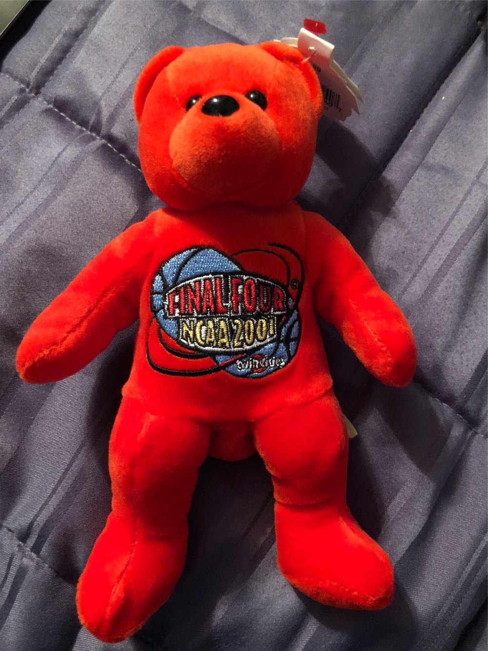 Paddington Bear (Buddy)