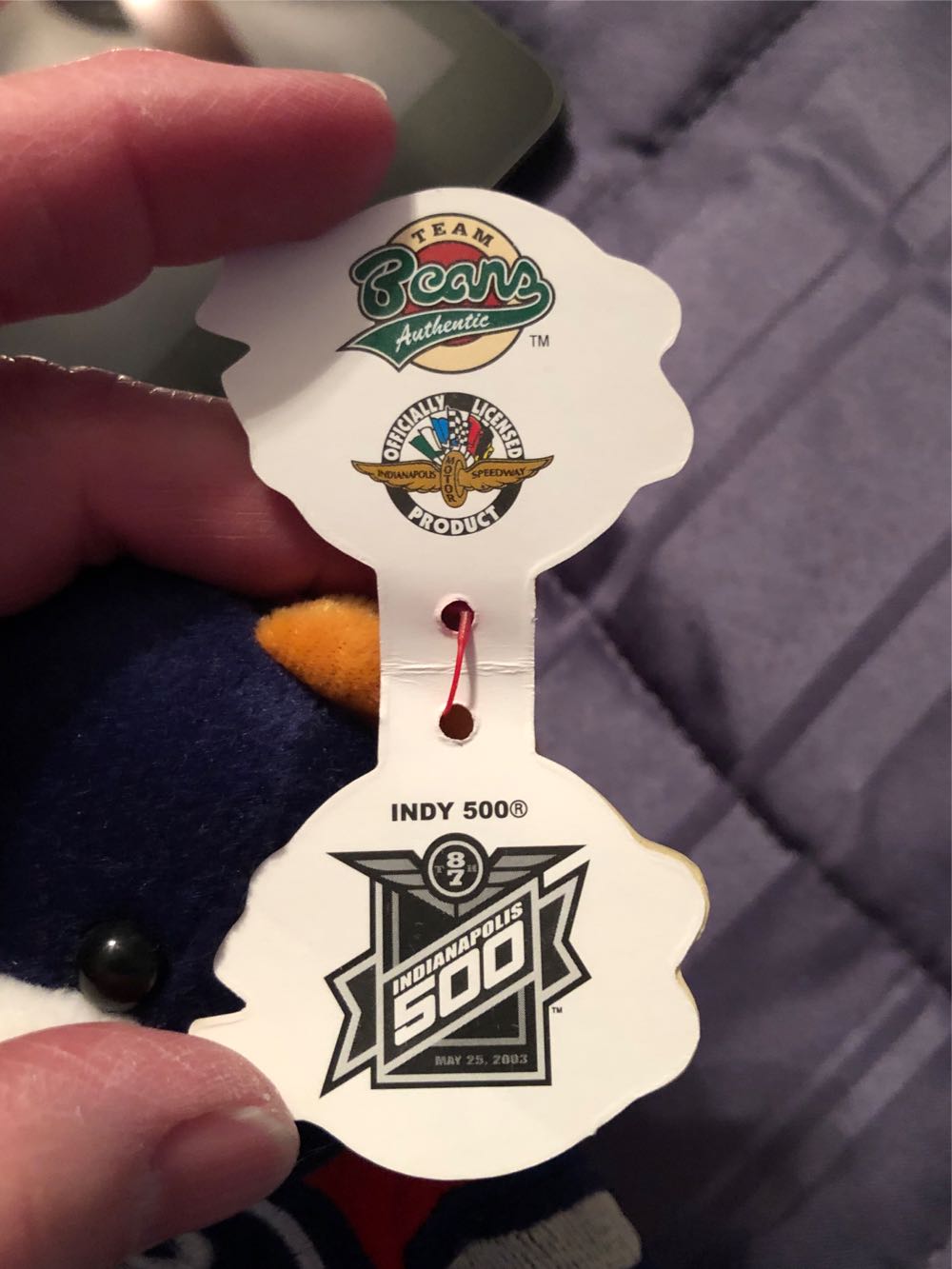 Team Speed 87th Indianapolis 500 Bear  plush collectible [Barcode 000522003954] - Main Image 4