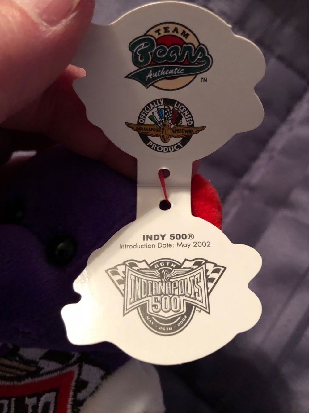 Team Speed Bears 86th Indianapolis 500 ... Ebay  plush collectible [Barcode 681329036453] - Main Image 4