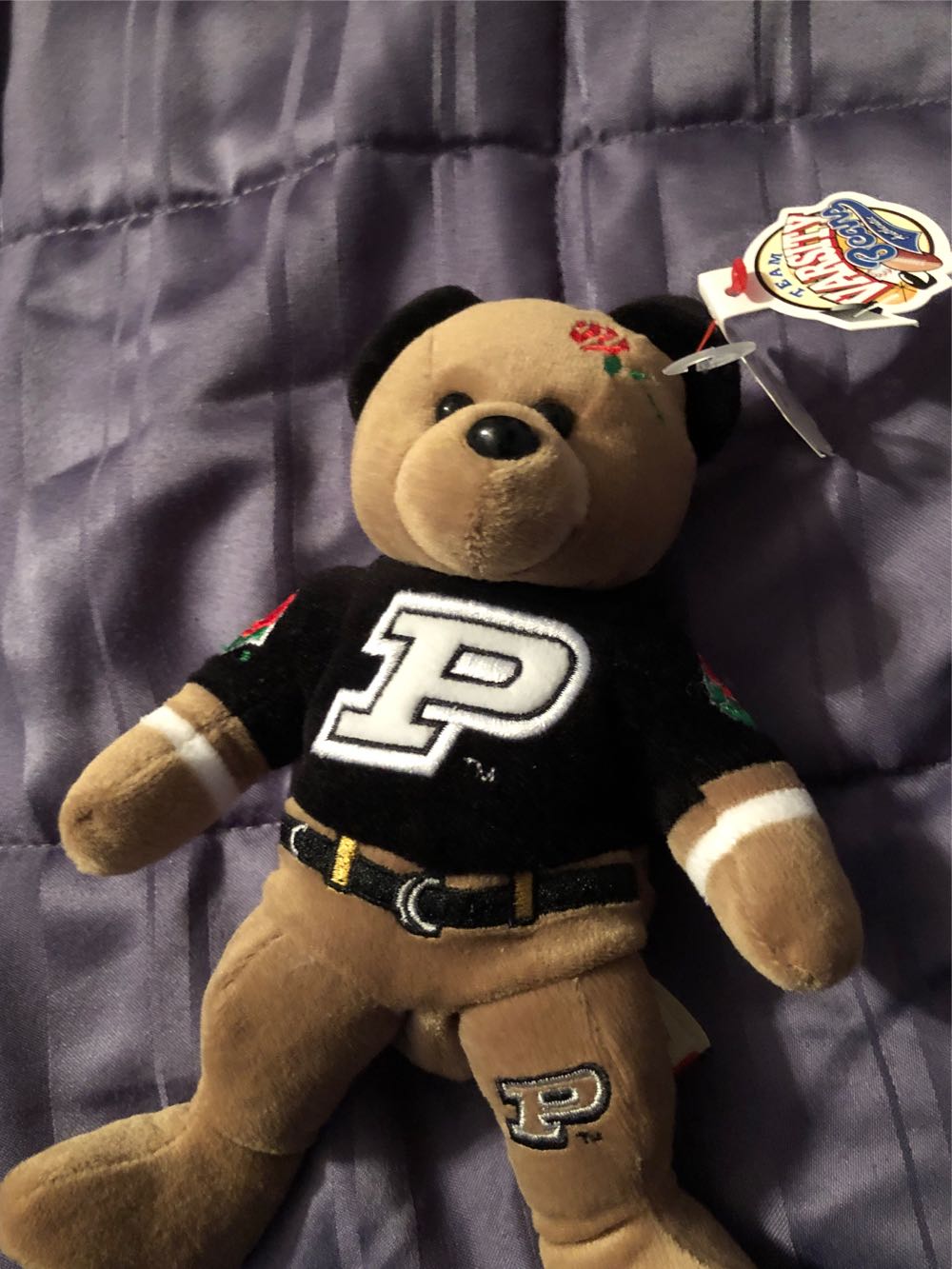 Purdue 2000 Rose Bowl Bear  plush collectible [Barcode 681329010828] - Main Image 3