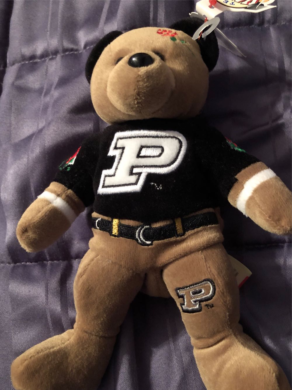 Purdue 2000 Rose Bowl Bear  plush collectible [Barcode 681329010828] - Main Image 4